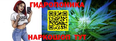 apvp Гагарин