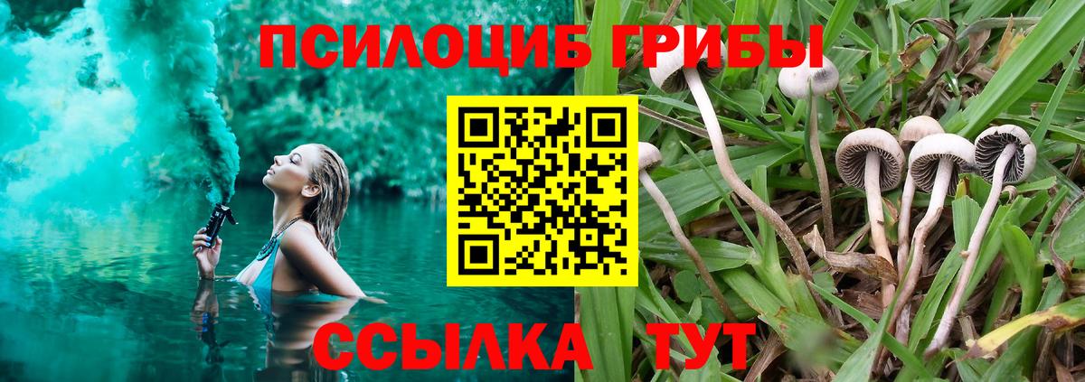 Галлюциногенные грибы GOLDEN TEACHER Тайшет