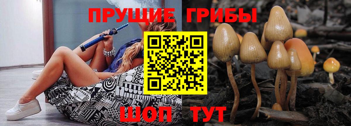 Псилоцибиновые грибы прущие грибы  Галлюциногенные грибы мухоморы  Вход с VPN  Тайшет 